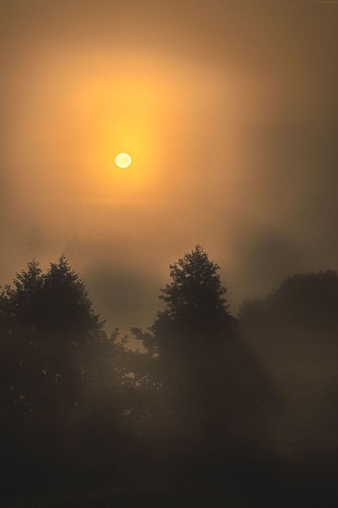 Туманный рассвет на реке