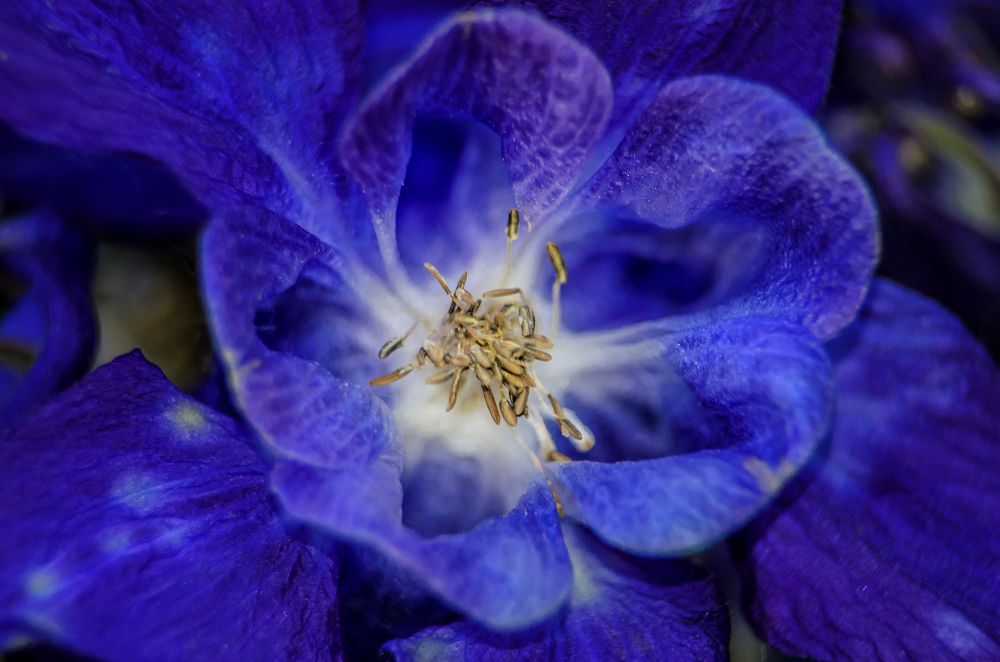 Photograph by Коптилина Галина