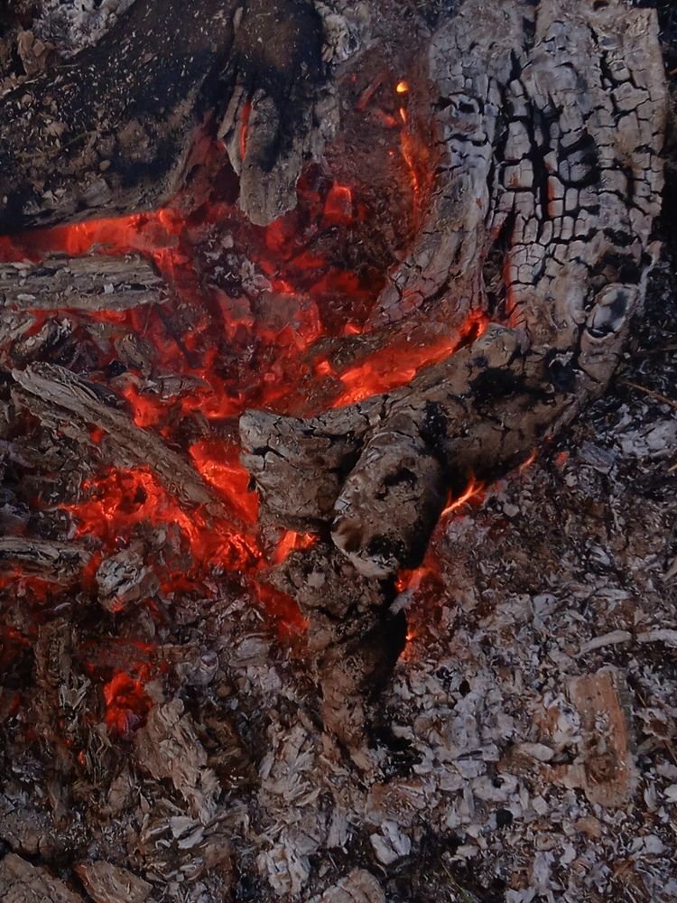 Photograph by Анна Белова