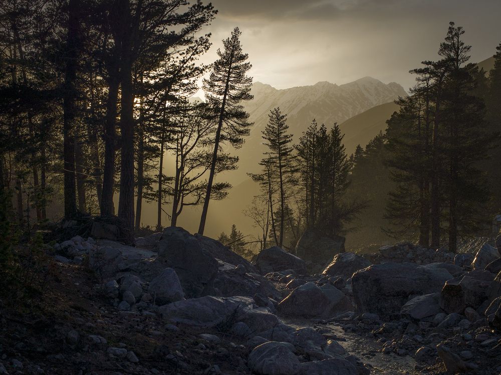 Слепой дождик