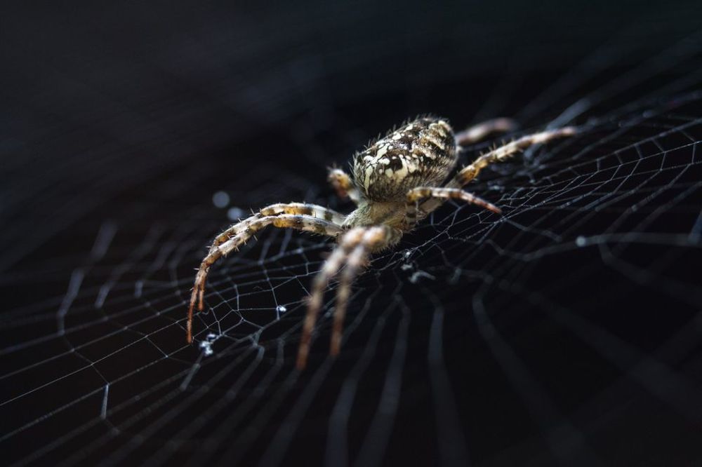 Photograph by Андрей Кульков