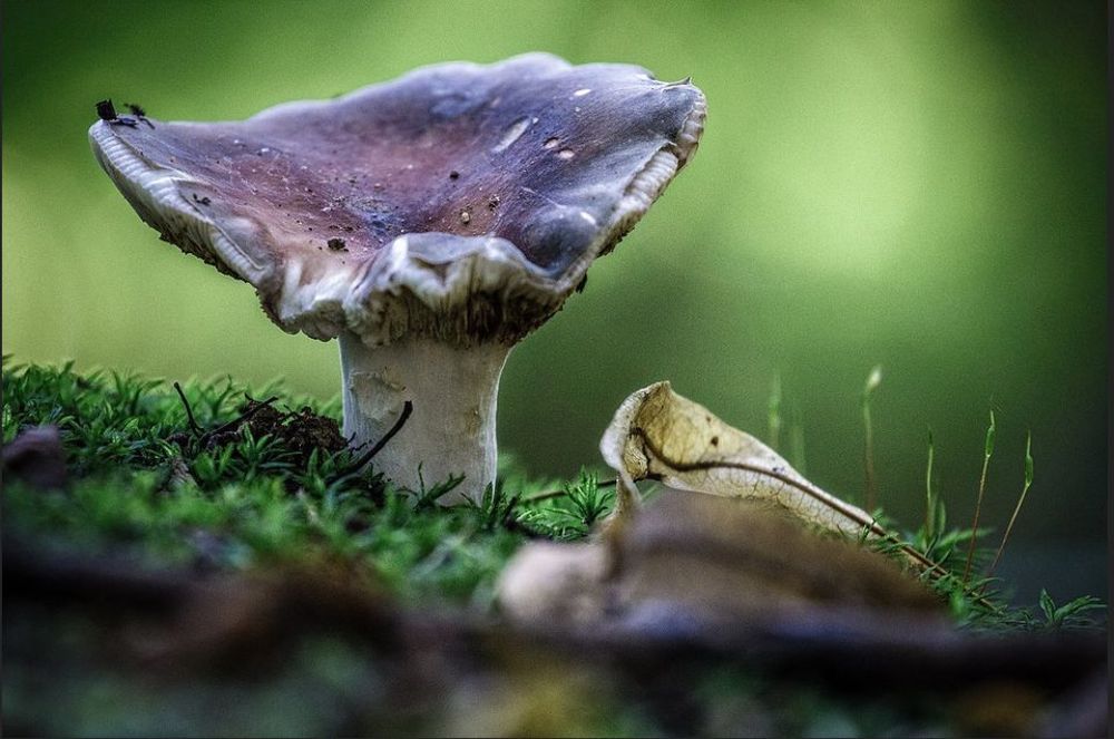 Photograph by Андрей Кульков