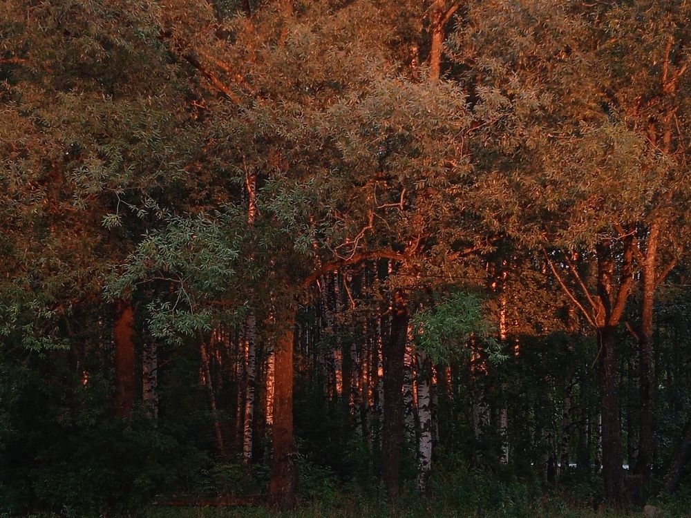 Photograph by Анна Белова