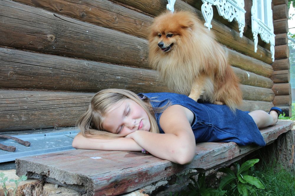 Массаж в четыре лапы