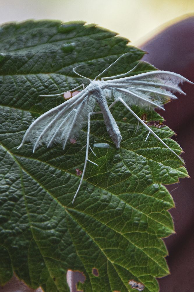 Photograph by Фёдор Викторов