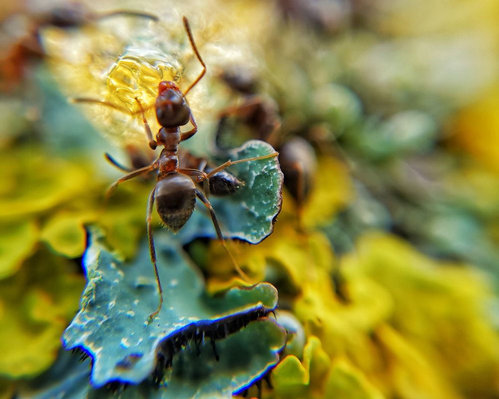 Photograph by Наталья Балабанова