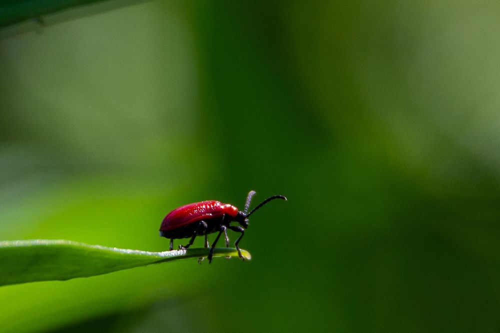 Photograph by Фёдор Викторов
