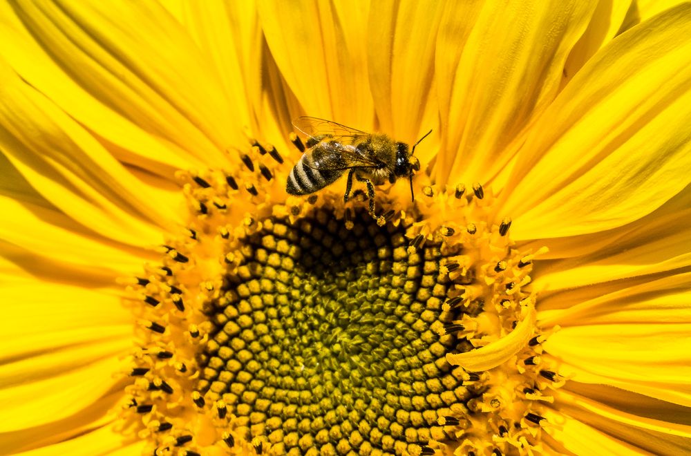 Photograph by Олег Фролов