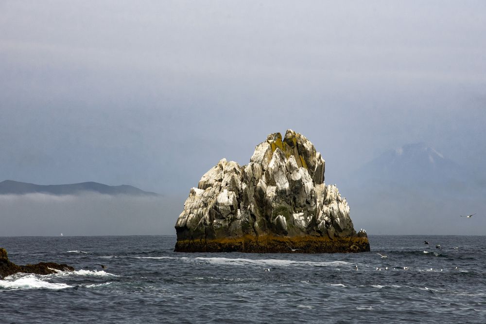 Камни Лаперуза