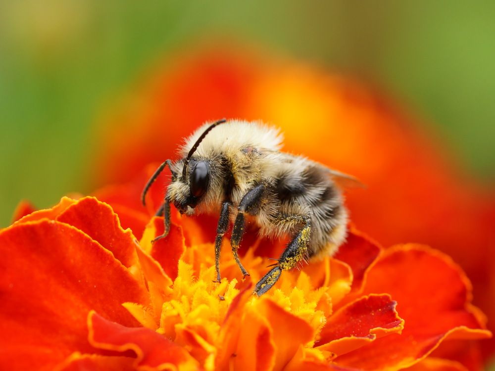 Photograph by Алексей Андреев