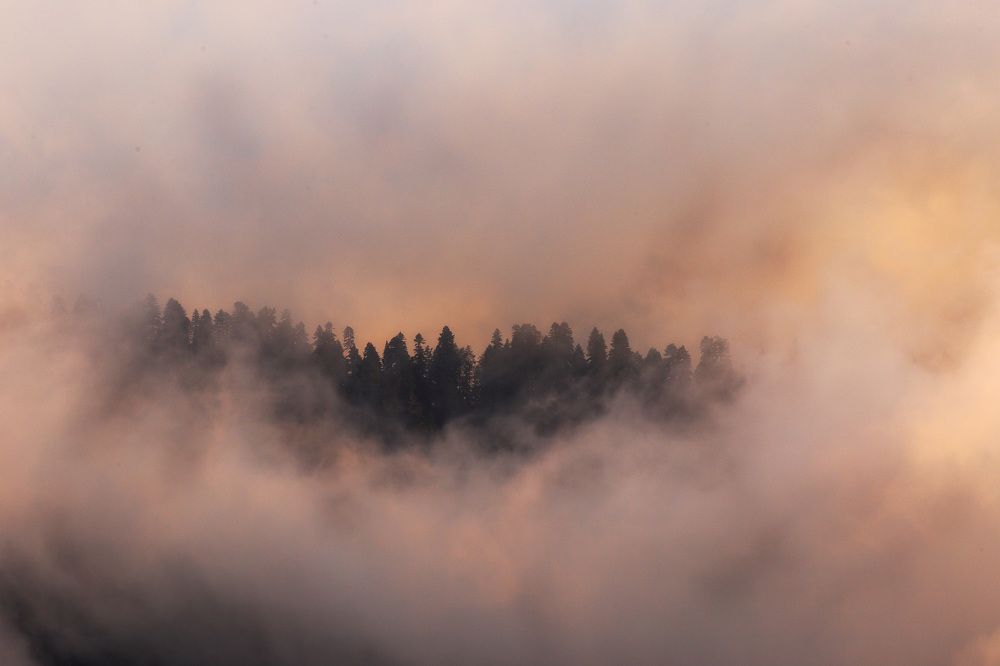 Photograph by Сергей Шабанов