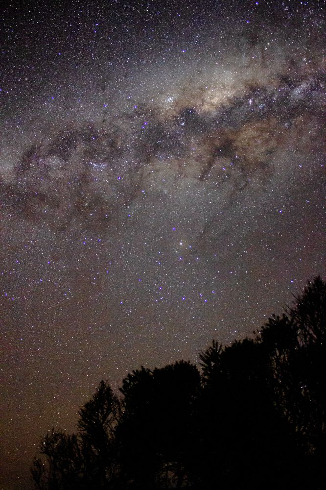 Photograph by Shrinivas Kulkarni