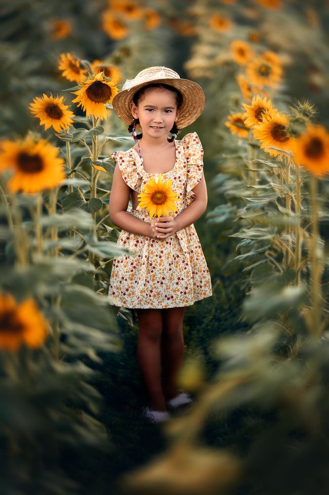 Sunflower dream!