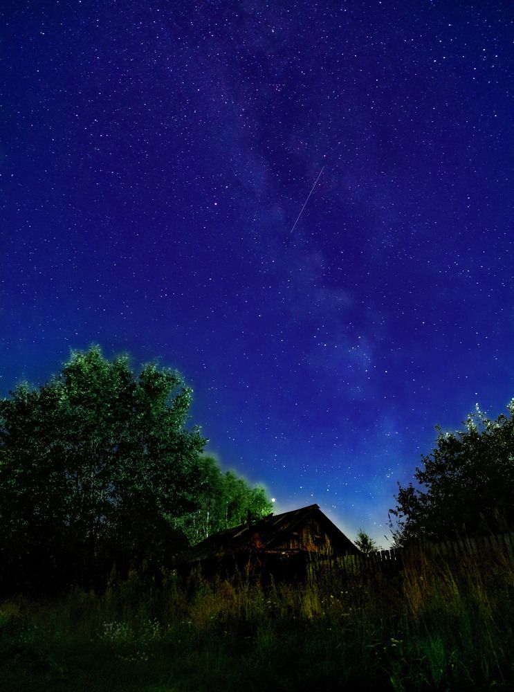 Photograph by Margarita