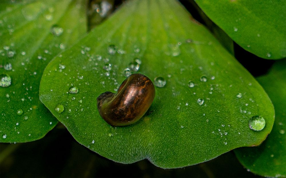 Photograph by nguyễn minh