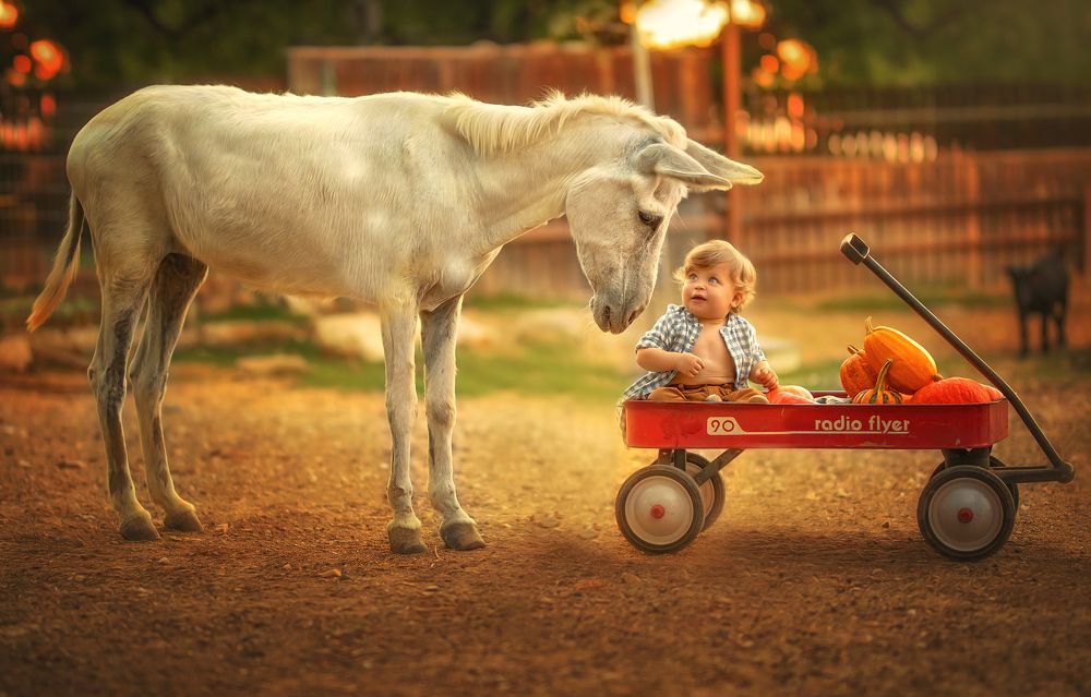 Photograph by yarden kaplan