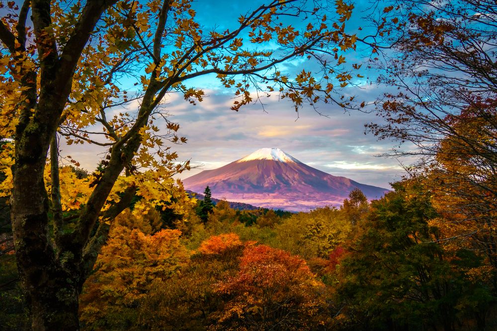 Фотография автора Takashi