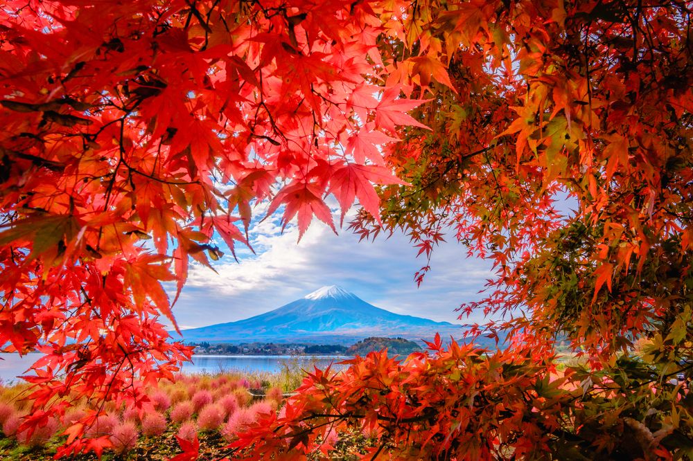 Фотография автора Takashi