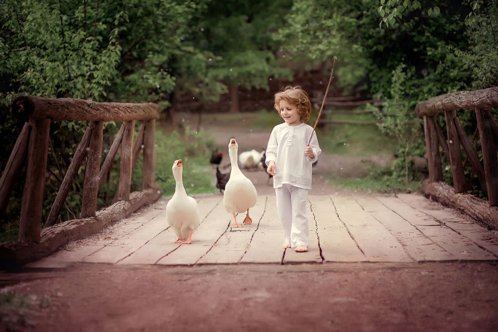 Photograph by Дарья Перевозчикова