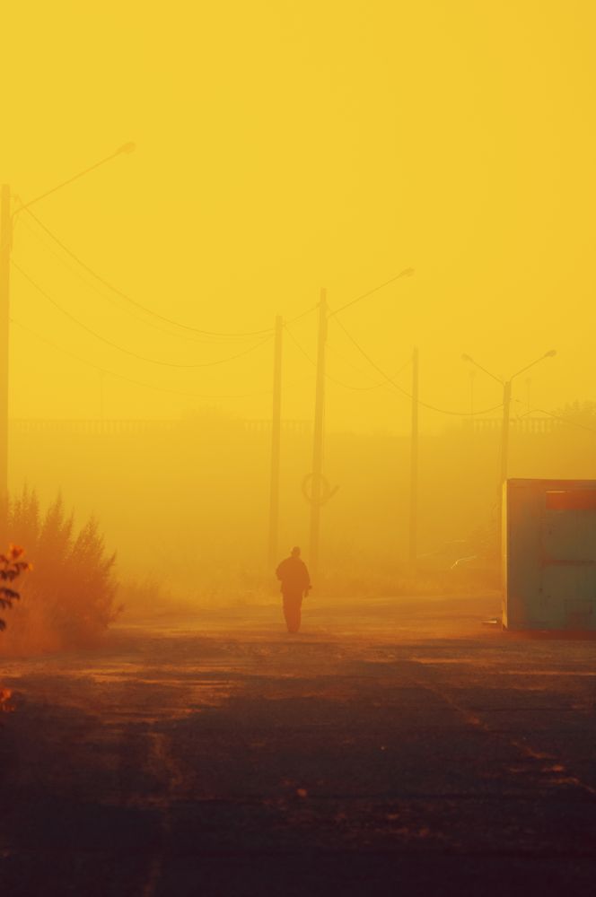 Photograph by Артём Аниськин