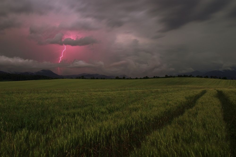 Фотография автора Tomas Kozel