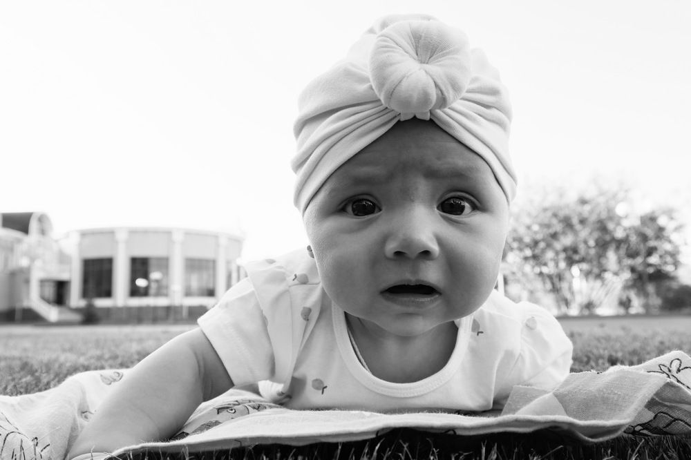 Photograph by Наталья Шамардина