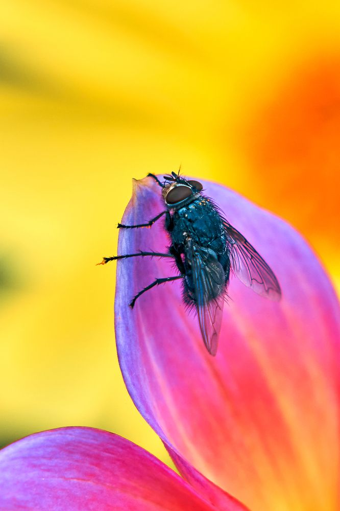 Photograph by Yuliya Khramova