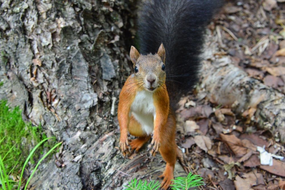 Photograph by Дмитрий