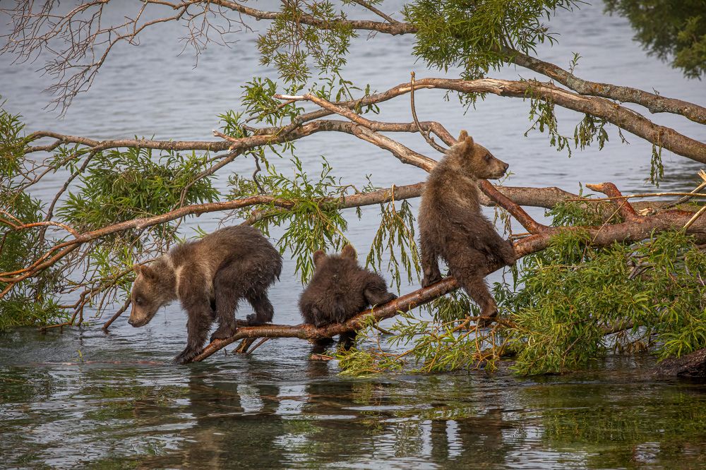 Photograph by Логунов Максим