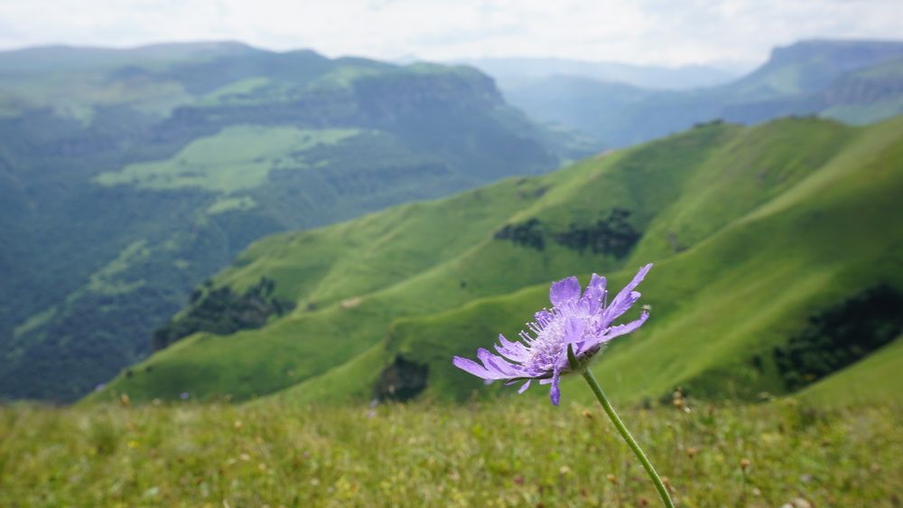 Photograph by Оксана Трофименко