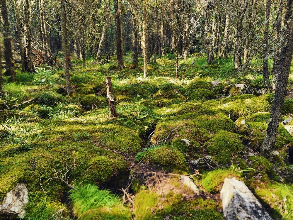 Photograph by Кирилл