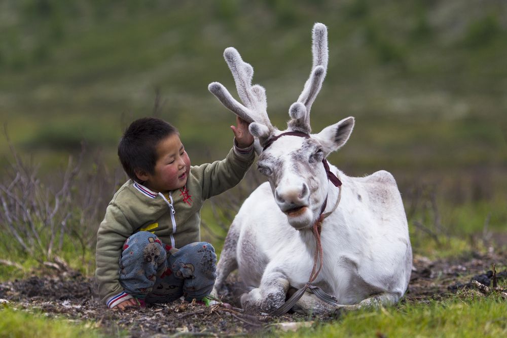 Photograph by Tue Nguyen