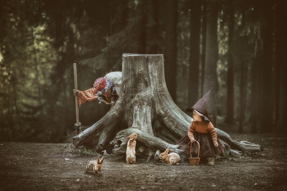 Фотография автора Елена Петрова