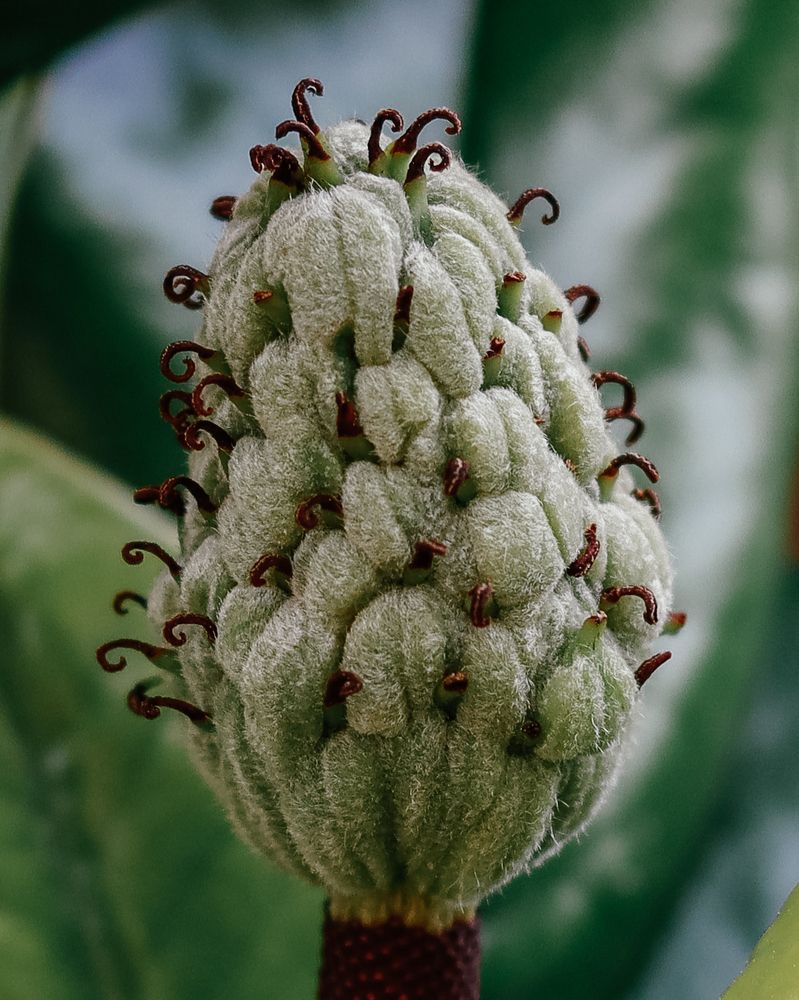 Photograph by Марина Слепова