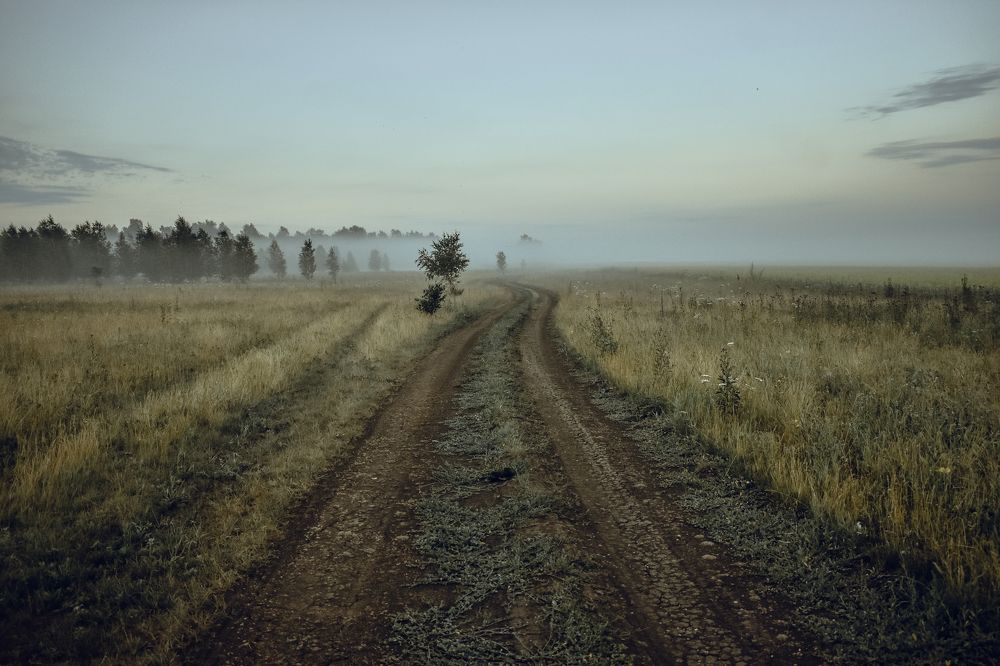 Photograph by Маргарита Грамошина