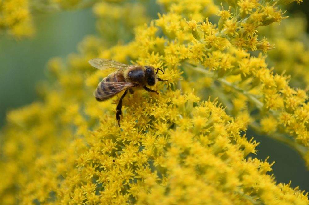 Photograph by Александр Костин