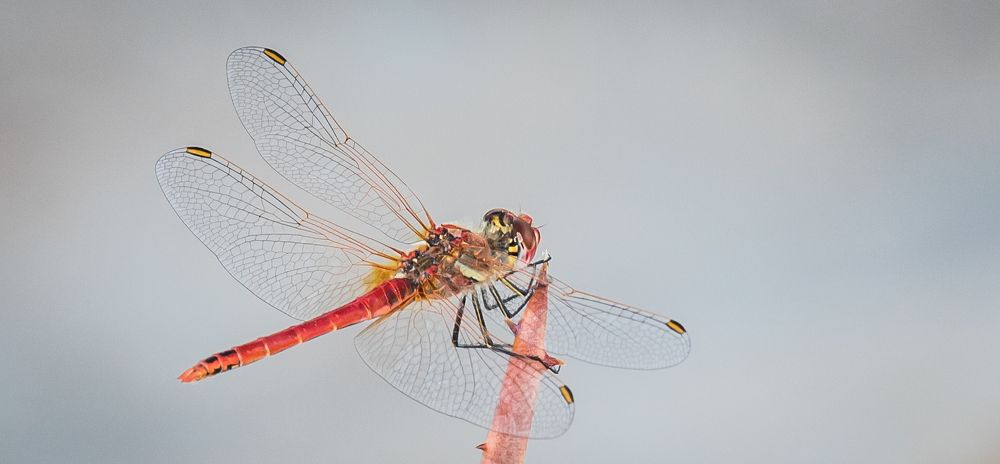 Photograph by Lanie Badenhorst