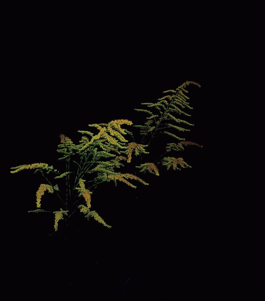 Photograph by Николай Филоненко