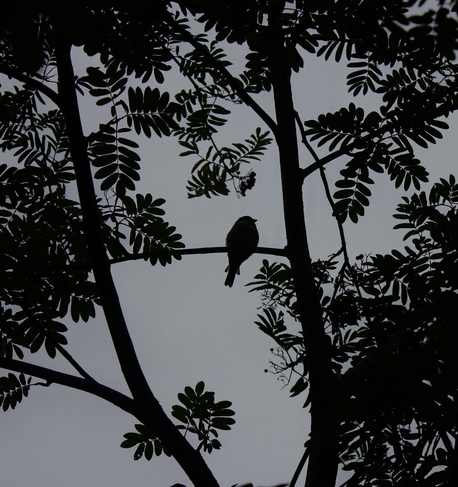 Photograph by Анастасия Козлова