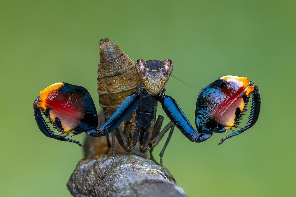 Photograph by Marcus Kam