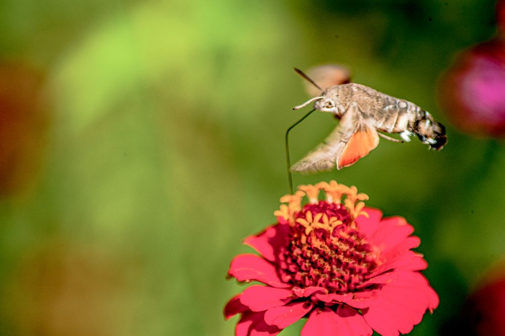 Photograph by Александр Коваленко