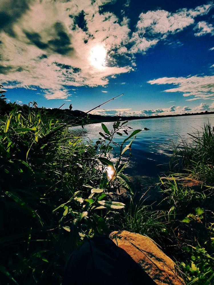 Пейзаж у реки