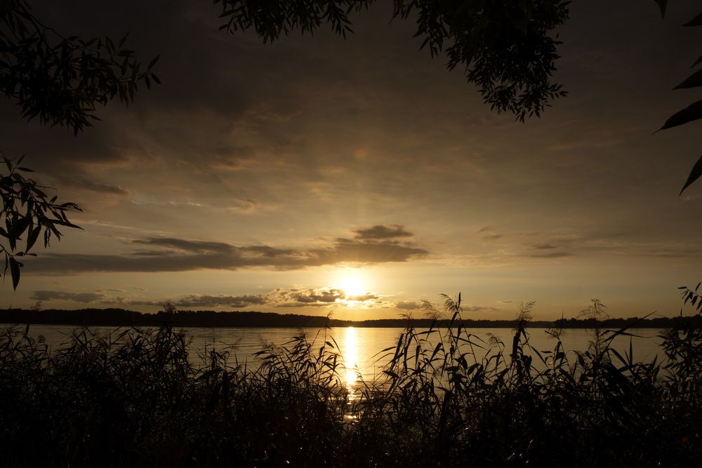 Photograph by Александр Кращук