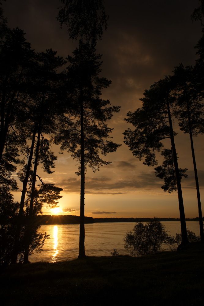 Photograph by Александр Кращук