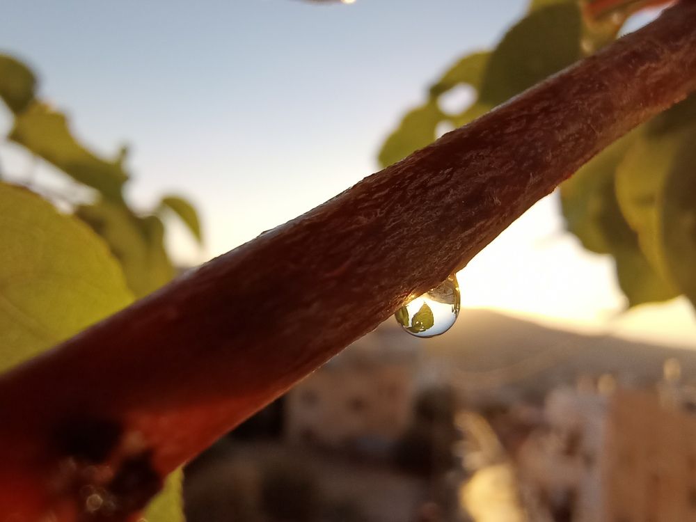 Фотография автора Tahani Almarafi