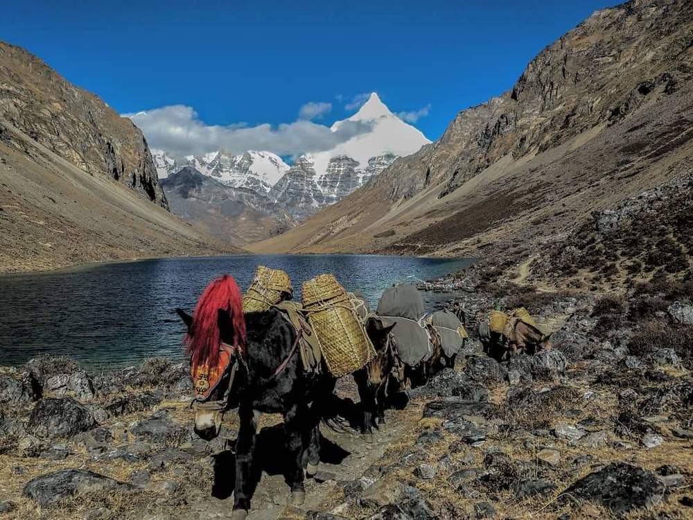 Photograph by Norzang Choda