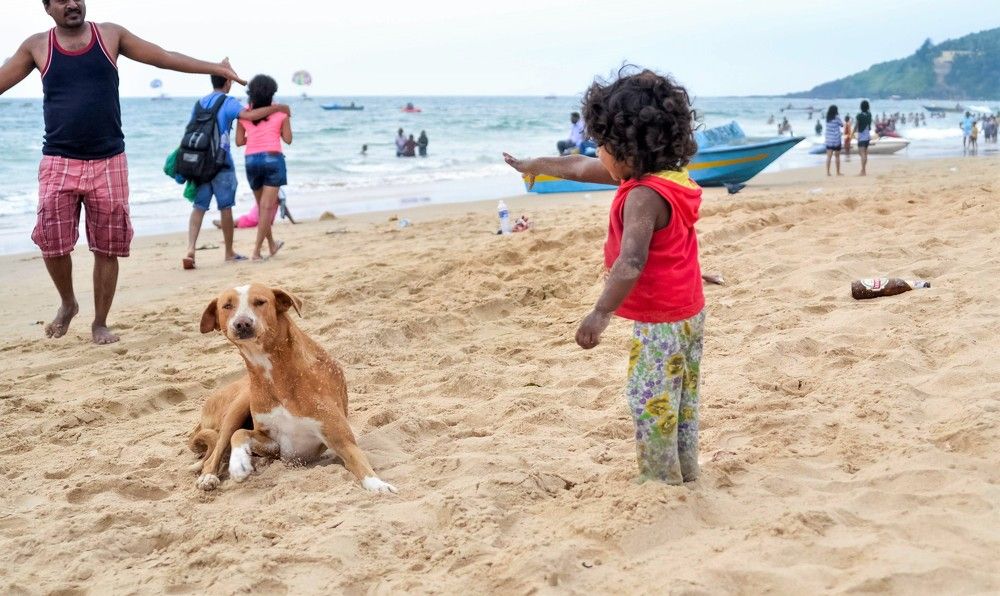 Photograph by Ranjith Kumar