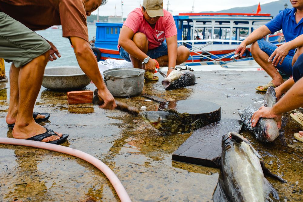 Photograph by Алексей