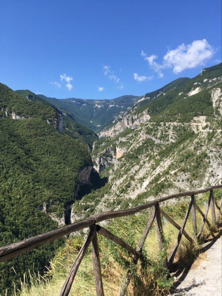 Photograph by ирина токарева