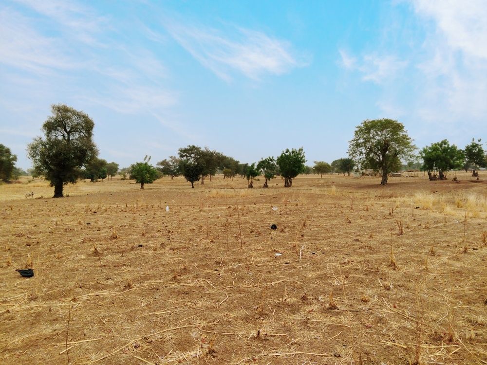 Photograph by Eric Kaba